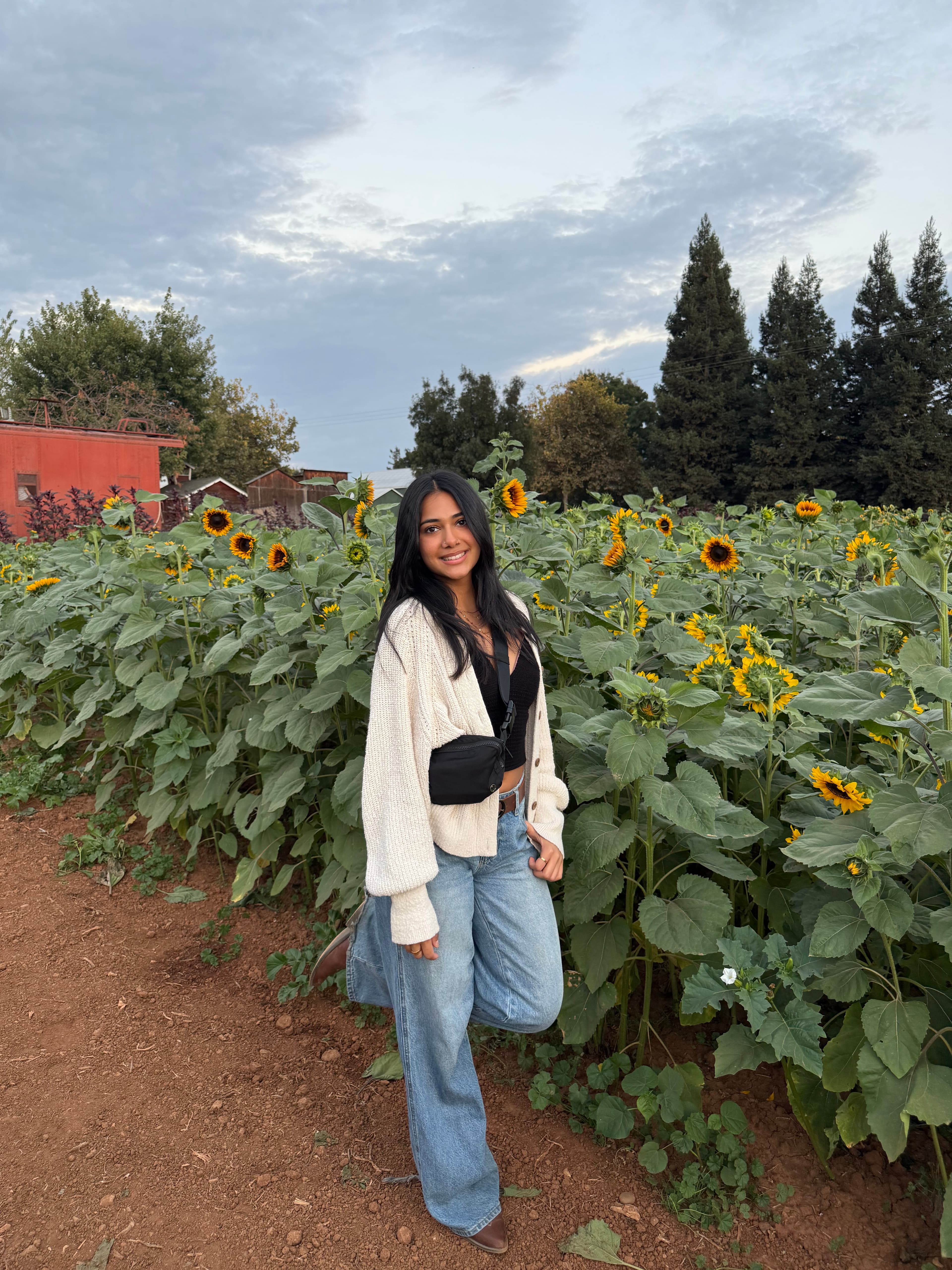 Gurneet Bains picture